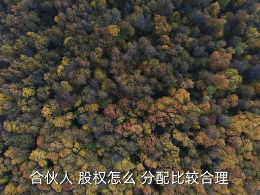 物業(yè)公司管理層股權結構分配