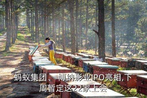 螞蟻集團、 博納影業(yè)IPO亮相,下周暫定這22家上會