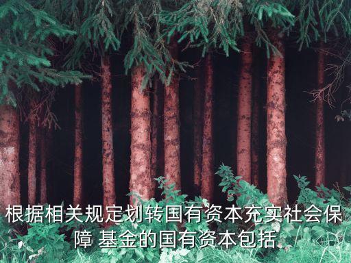根據(jù)相關(guān)規(guī)定劃轉(zhuǎn)國有資本充實(shí)社會保障 基金的國有資本包括