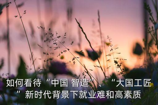 如何看待“中國 智造”、“大國工匠”新時代背景下就業(yè)難和高素質(zhì)