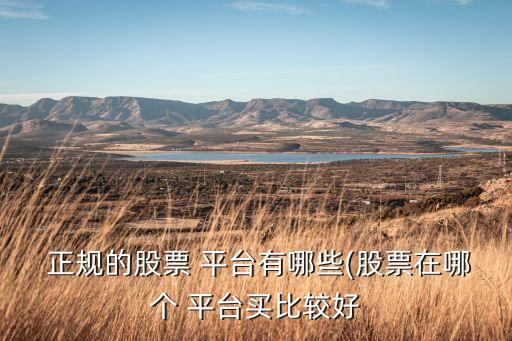  正規(guī)的股票 平臺(tái)有哪些(股票在哪個(gè) 平臺(tái)買(mǎi)比較好