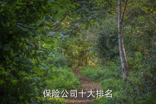 中國人壽500強(qiáng)排第幾