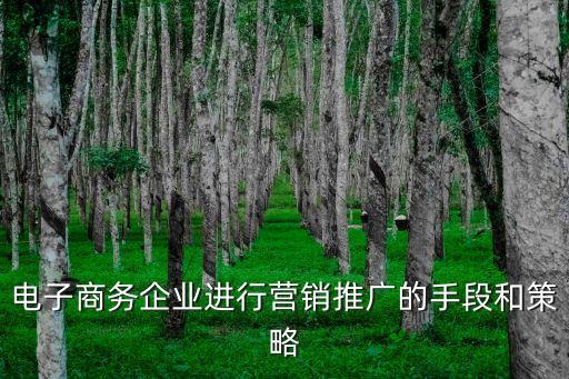 電子商務(wù)企業(yè)進(jìn)行營(yíng)銷(xiāo)推廣的手段和策略