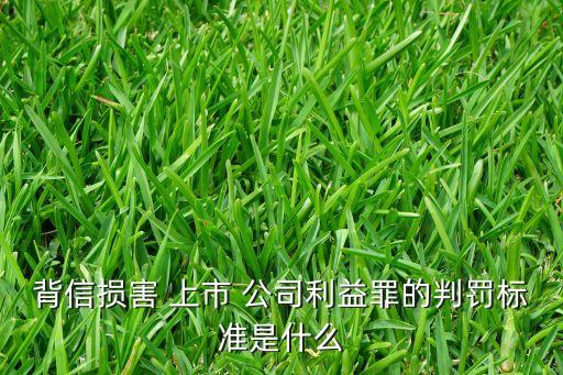 背信損害 上市 公司利益罪的判罰標(biāo)準是什么