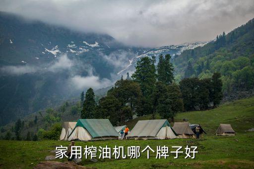 家用榨油機(jī)哪個牌子好