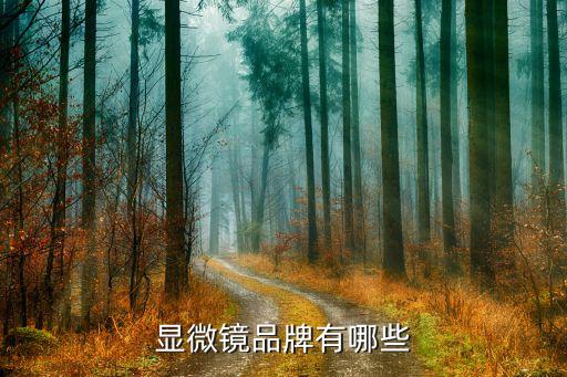 鳳凰光學集團有限公司,上饒鳳凰光學集團有限公司