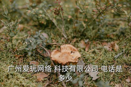 廣州愛(ài)玩網(wǎng)絡(luò) 科技有限公司 電話(huà)是多少