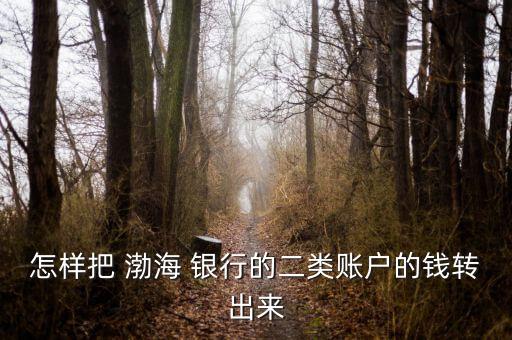 怎樣把 渤海 銀行的二類賬戶的錢轉出來