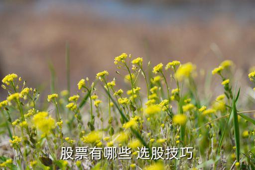 股票有哪些 選股技巧