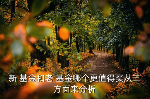 新 基金和老 基金哪個(gè)更值得買從三方面來(lái)分析