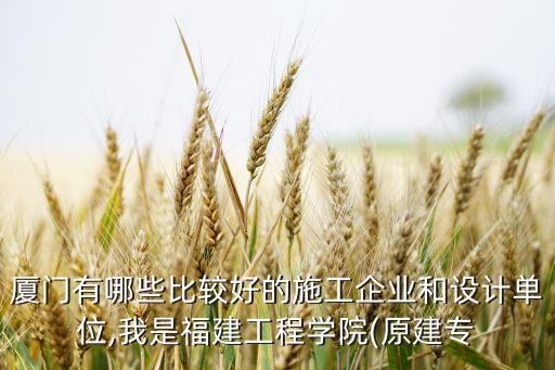廈門(mén)有哪些比較好的施工企業(yè)和設(shè)計(jì)單位,我是福建工程學(xué)院(原建專(zhuān)