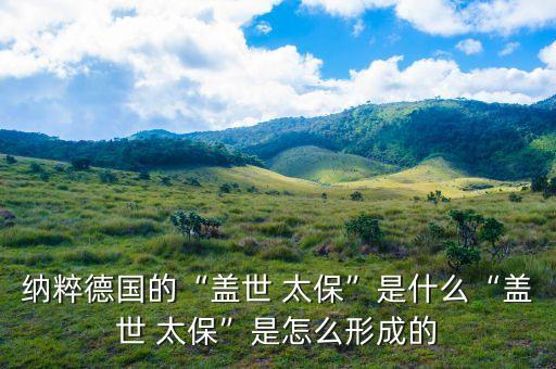納粹德國(guó)的“蓋世 太?！笔鞘裁础吧w世 太保”是怎么形成的