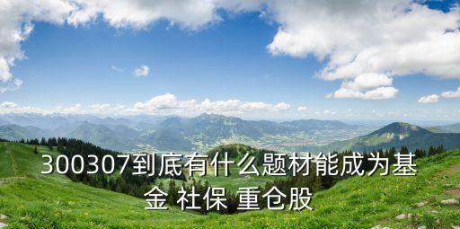 社保喜歡重倉(cāng)的股票,社?；鹬貍}(cāng)股票好不好