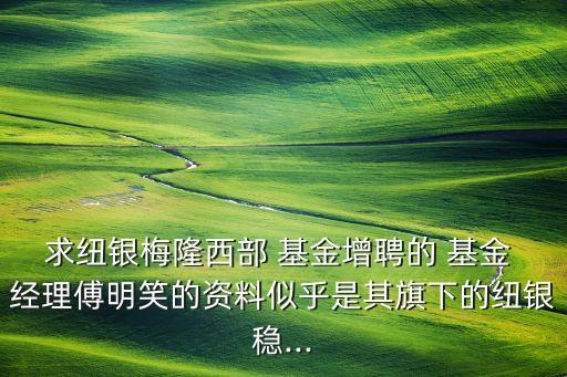 基金經理閆旭,美女基金經理閆旭