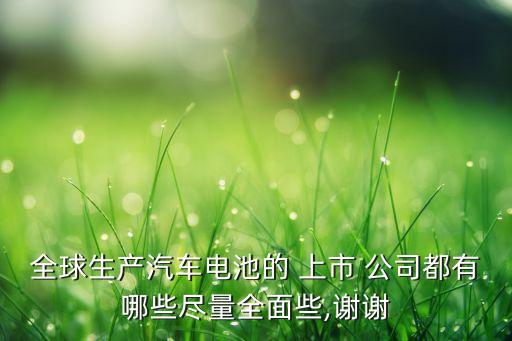 全球生產(chǎn)汽車(chē)電池的 上市 公司都有哪些盡量全面些,謝謝