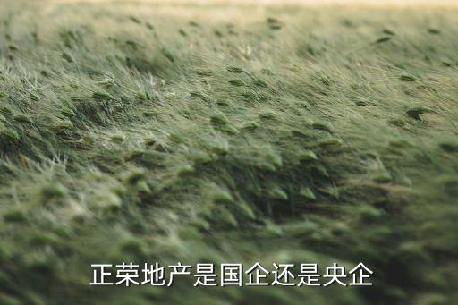 正榮集團股票代碼,君正集團的股票代碼
