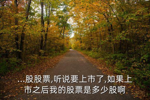 公司股份1萬(wàn)5千股是多少