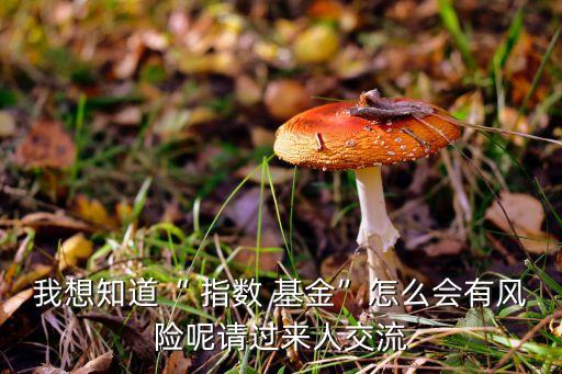 我想知道“ 指數(shù) 基金”怎么會有風(fēng)險呢請過來人交流