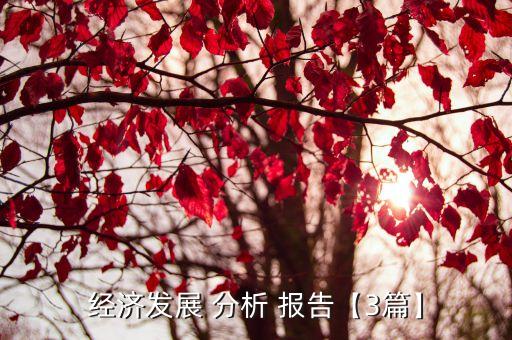 經(jīng)濟發(fā)展 分析 報告【3篇】