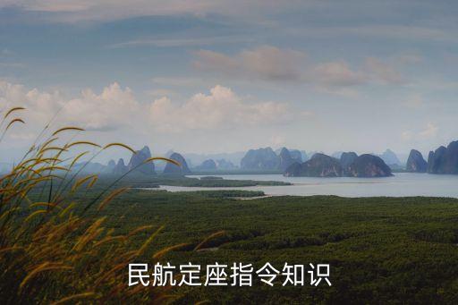 中國(guó)航空訂座系統(tǒng)與外國(guó),航空訂座系統(tǒng)分為哪兩類(lèi)