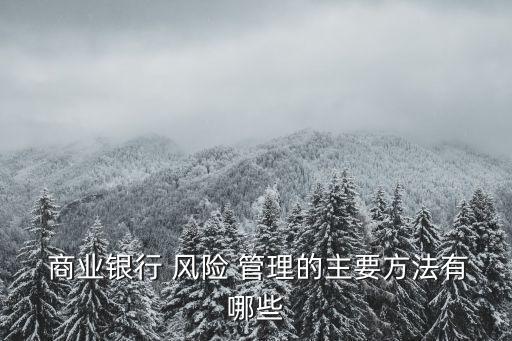 商業(yè)銀行風險管理集中