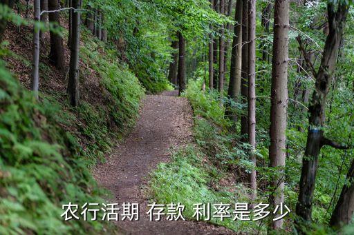 農行活期 存款 利率是多少