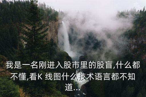 我是一名剛進入股市里的股盲,什么都不懂,看K 線圖什么技術語言都不知道...