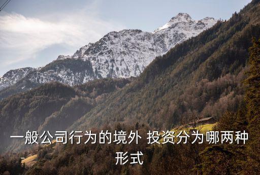 國(guó)外股權(quán)投資