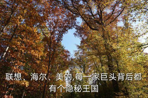 聯(lián)想、海爾、美的,每一家巨頭背后都有個(gè)隱秘王國(guó)