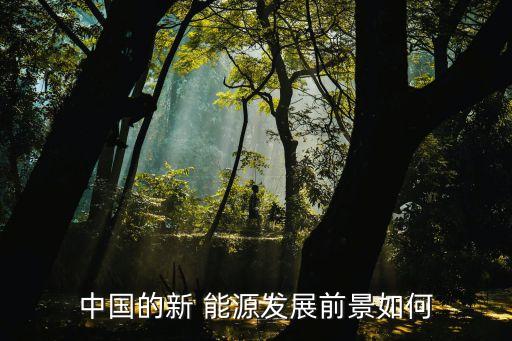 中國(guó)的新 能源發(fā)展前景如何