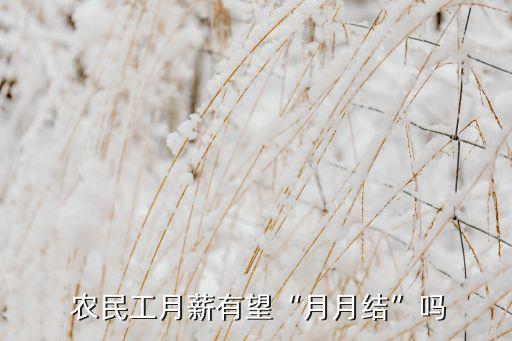  農民工月薪有望“月月結”嗎