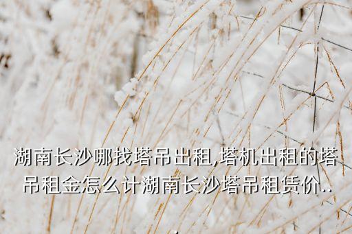 湖南長沙哪找塔吊出租,塔機(jī)出租的塔吊租金怎么計(jì)湖南長沙塔吊租賃價...