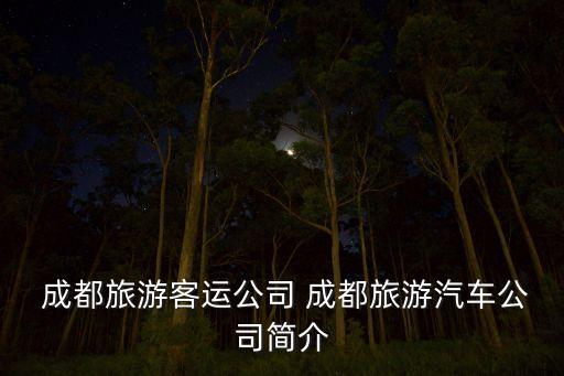  成都旅游客運(yùn)公司 成都旅游汽車(chē)公司簡(jiǎn)介