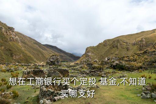 想在工商銀行買(mǎi)個(gè)定投 基金,不知道買(mǎi)哪支好