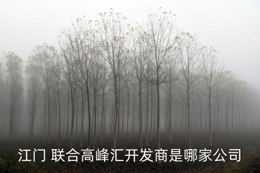 江門 聯(lián)合高峰匯開(kāi)發(fā)商是哪家公司