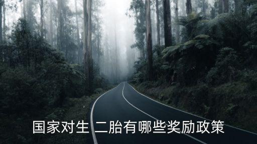 國家對(duì)生 二胎有哪些獎(jiǎng)勵(lì)政策