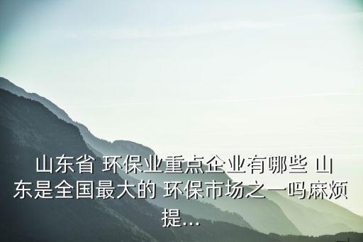 山東魯豐環(huán)保科技有限公司,山東綠之能環(huán)?？萍加邢薰?/></a></span><span id=