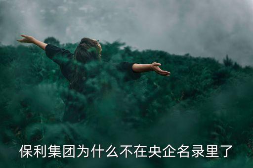保利集團為什么不在央企名錄里了