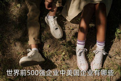 美國(guó)來德愛公司,美國(guó)吉利德公司