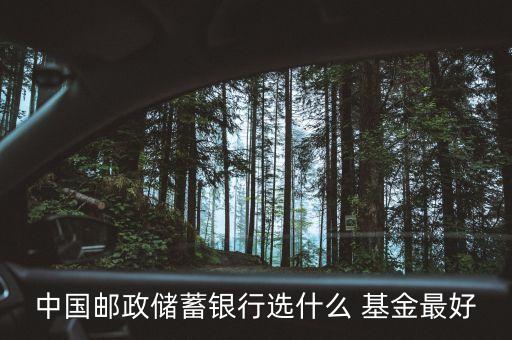 中國(guó)郵政儲(chǔ)蓄銀行選什么 基金最好