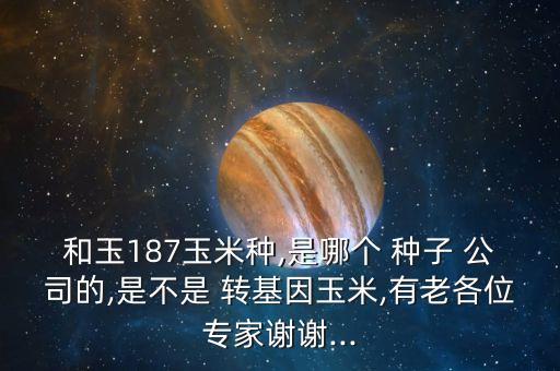 和玉187玉米種,是哪個 種子 公司的,是不是 轉基因玉米,有老各位專家謝謝...