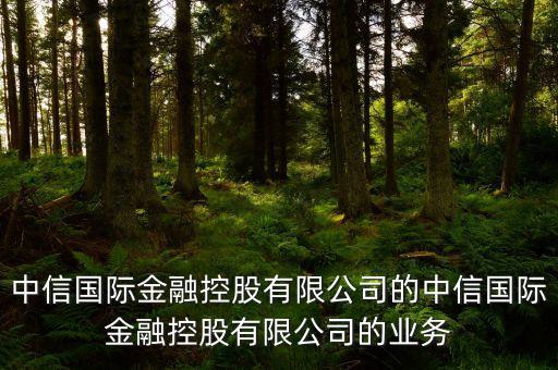 中信國際金融控股有限公司的中信國際金融控股有限公司的業(yè)務