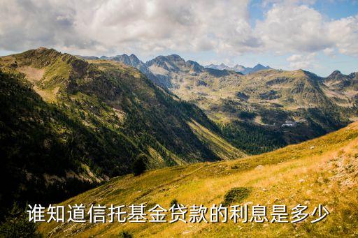 誰(shuí)知道信托基金貸款的利息是多少