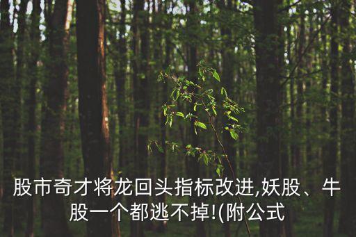 股市奇才將龍回頭指標(biāo)改進(jìn),妖股、牛股一個(gè)都逃不掉!(附公式