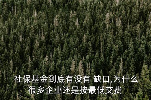  社?；鸬降子袥]有 缺口,為什么很多企業(yè)還是按最低交費