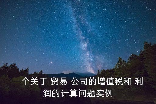 一個關(guān)于 貿(mào)易 公司的增值稅和 利潤的計算問題實例
