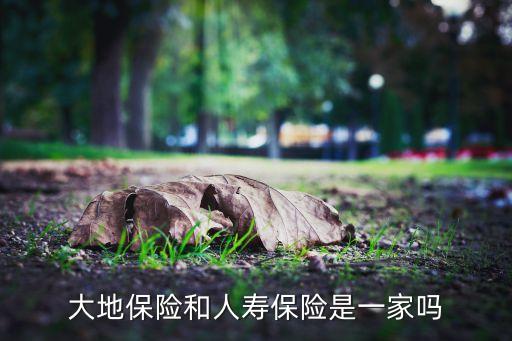 保險(xiǎn)公司競(jìng)爭(zhēng)對(duì)手,如何判斷誰是保險(xiǎn)公司的競(jìng)爭(zhēng)對(duì)手