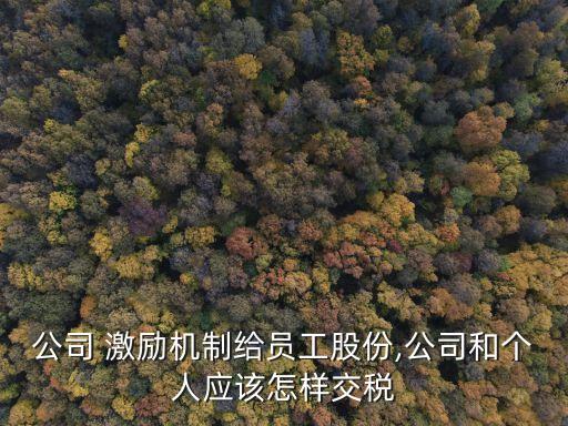 公司 激勵機制給員工股份,公司和個人應(yīng)該怎樣交稅