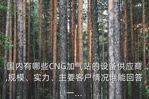 國(guó)內(nèi)有哪些CNG加氣站的設(shè)備供應(yīng)商,規(guī)模、實(shí)力、主要客戶情況誰(shuí)能回答一...