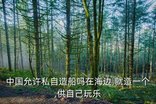 中國允許私自造船嗎在海邊,就造一個(gè),供自己玩樂
